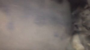 Подключение подогревателя СТАРТ-М 1.5Квт на субару форестер sg5 ej201