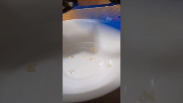 как приготовить быстро и просто чипсы в духовке смотреть онлайн