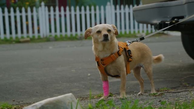 Unboxing Sony FX9 | $11k Camera w/ Full Frame + Autofocus + Variable ND смотреть онлайн