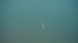Воблер в форме Банана Слинки Минноу Страйк про Slinky Minnow 85F Топ вотер для ловли Щуки Жереха