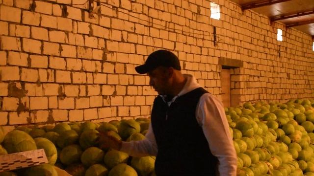 СТОРКИНГ F1 - ПОСЛЕ 5 МЕСЯЦЕВ ХРАНЕНИЯ! смотреть онлайн