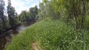 Сплав по реке Песь 2021г 1 часть . июнь. по Новгородской и Вологодской области .