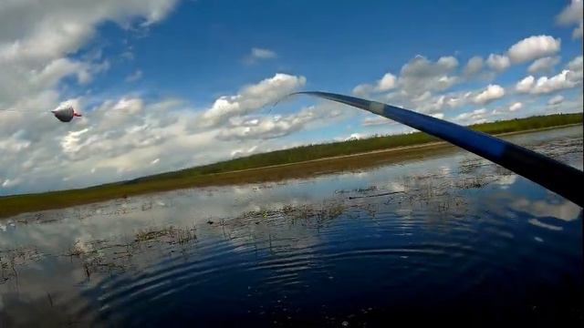 НЕ ЗРЯ Я ПРИЕХАЛ НА ЭТО БОЛОТО!!НАДУБАСИЛ ЗАЧЕТНЫХ КАРАСЕЙ!! смотреть онлайн