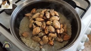 Как вкусно приготовить очищенные Мидии на сковороде в томатном соусе