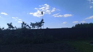 Как отпугнуть птиц, клюющих наш урожай