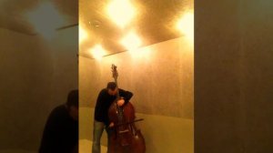 DITTERSDORF SPIROCORE THOMASTIK strings. Damián Rubido González, bass Follow links below for+string