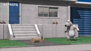 БЕРНАРД: Газетчик (HD)