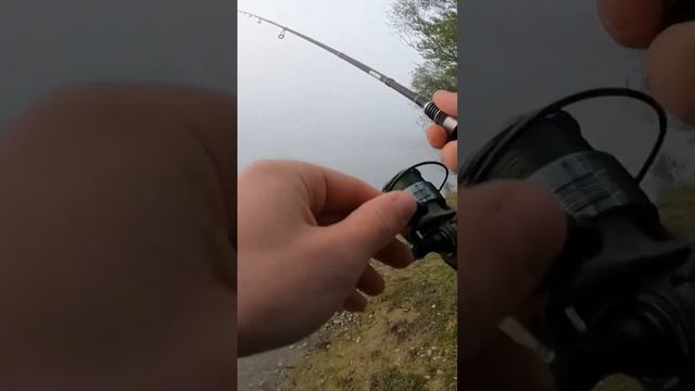 Рыбалка. Как я делаю проводку на воблер!? #fishing #shorts #shots #reels