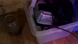 Выращиваем осетра в домашних условиях S01E05