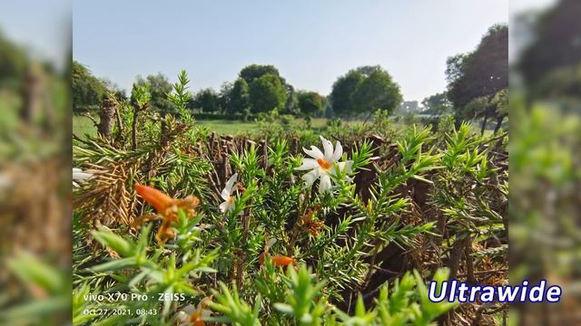 vivo X70 Pro 5G Camera - Real Life Test ? смотреть онлайн