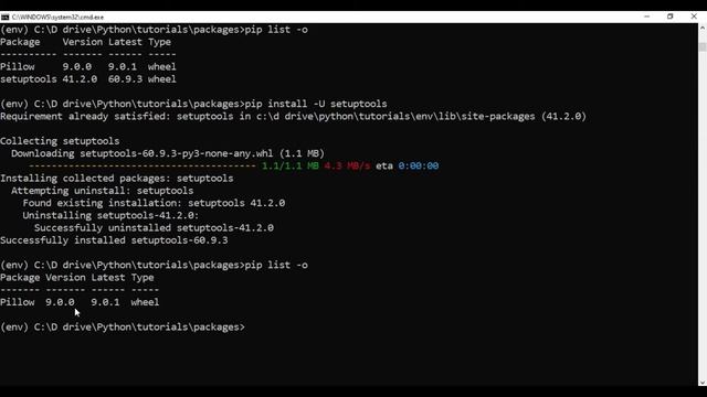 #29 - pip in Python (Python package manager)