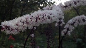 Как создать цветник легко