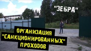 Извещатели серии "ЗЕБРА". Организация "санкционированных" проходов