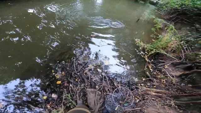 Crazy Fish , Nimble, Floating , разби Щуките. смотреть онлайн