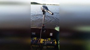 Потребляемый ток от аккумулятора лодочного электромотора