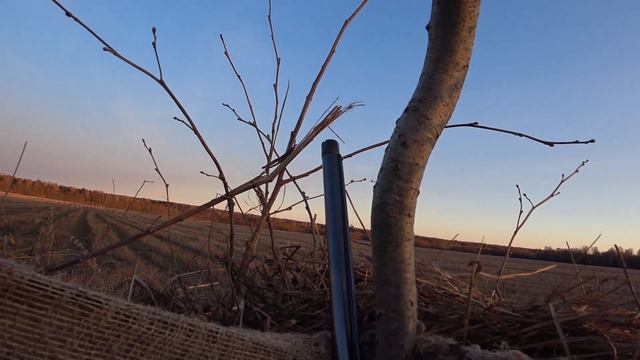 Открытие весенней охоты на гуся 2021.В Ярославской области. смотреть онлайн