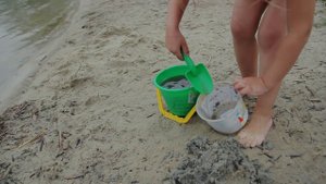 Блог: СОБАКИ тоже дружат ! Отдыхаем на озере с йорком. Видео для детей Kids children Дети онлайн