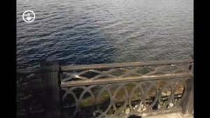 Бонд с кнопкой - Газ