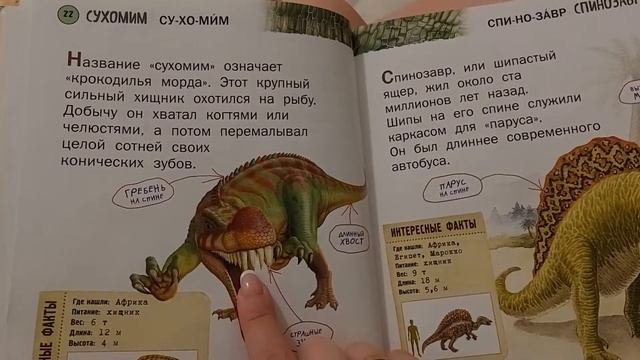 А вы их знаете? Читаем вместе.  #динозавры #энциклопедия #сказкинаночь