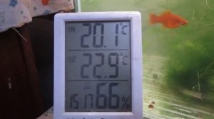 ПОДОГРЕВ И ОХЛАЖДЕНИЕ ВОДЫ В АКВАРИУМЕ