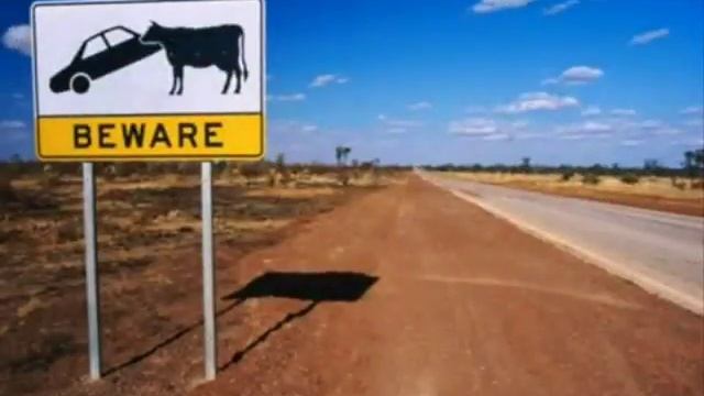 Дорожные знаки смотреть онлайн