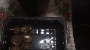 Если луковицы фрезий начали расти невовремя