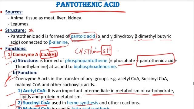 6 Vitamins B6 & Biotin & pantothenic смотреть онлайн