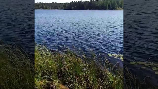 Озеро Пасторское