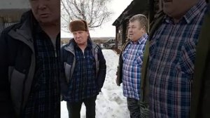 Плюсы пчелы карпатка и карники для Сибири