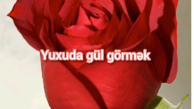 Yuxuda gül görmek. SESLİ