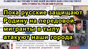 Пока русские защищают Родину на передовой, мигранты в тылу атакуют наши города