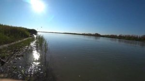 Рыбалка в Жельторангы  Сазан, Амур, Сом