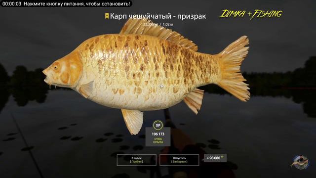 русская рыбалка 4 трофейный карп чешуйчатый - призрак смотреть онлайн