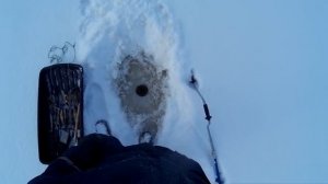 Ловля окуня зимой. Крупный окунь. Удачная блесна для ловли окуня. Как ловить окуня на блесну зимой.