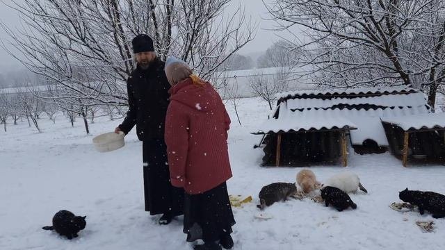 Монах о батюшке Ипполите. Рыльский монастырь. #монастырь #святыеместа