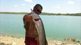 Летняя рыбалка.Судак Щука..ОКУНЬ.