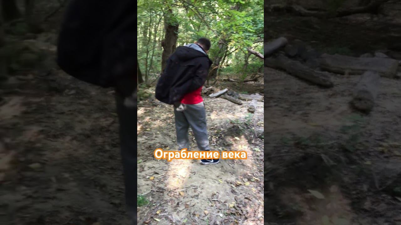 #ставрополь #новости #путешествия #природа #осень2023 #белки #комсомольскийпруд