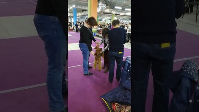VID 20190331 115204