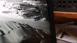 Тигр атакует собаку 9:55