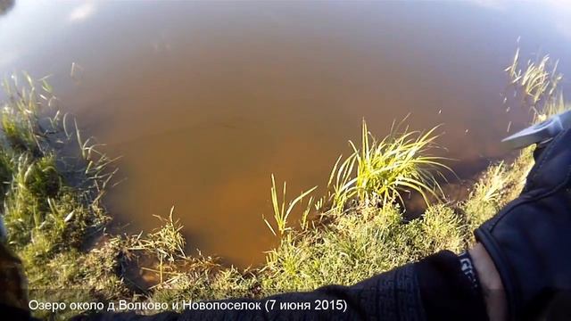 Озеро около Новопоселока и Волково