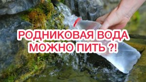 Можно ли пить воду из родников и источников? Проверяем и сравниваем!