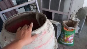 Рацион кормления супоросных свиноматок. Домашнее БМВД своими руками