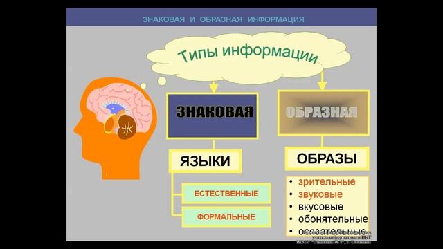Урок № 1. Инструктаж по ТБ. Восприятие и представление информации