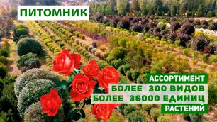 Питомник декоративных и плодовых растений. Зелёная точка. Москва