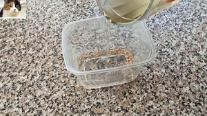 Замачивание семян в Меде перед посадкой