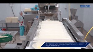 Упаковочное оборудование. Фасовка тертого сыра "моцарелла" в пакет-подушку