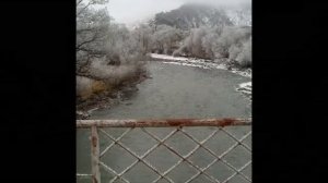 Зимний Самур.