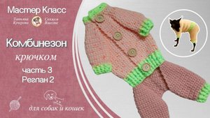 Как связать Комбинезон для собаки и кошки крючком, часть 2