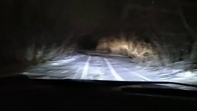 Зимние шины VIATTI 175/65/14
