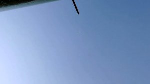 Снова в гостях майкопские бойные голуби